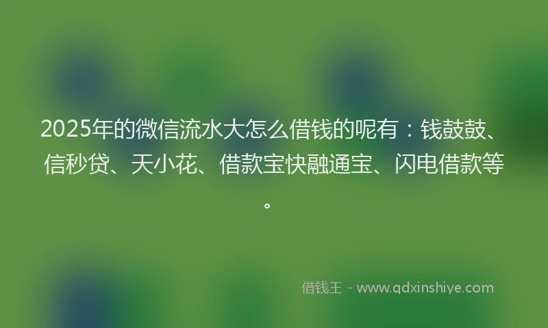 2025年的微信流水大怎么借钱的呢有：钱鼓鼓、信秒贷、天小花、借款宝快融通宝、闪电借款等。