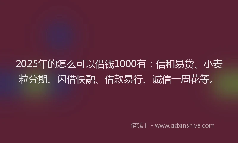 2025年的怎么可以借钱1000有：信和易贷、小麦粒分期、闪借快融、借款易行、诚信一周花等。