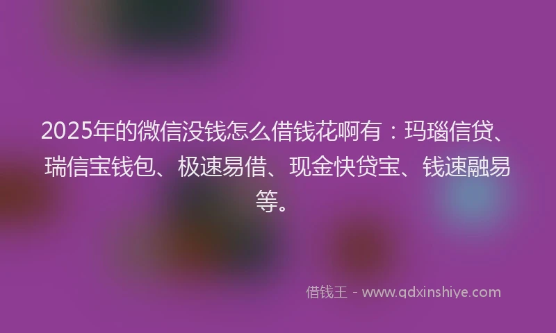 2025年的微信没钱怎么借钱花啊有：玛瑙信贷、瑞信宝钱包、极速易借、现金快贷宝、钱速融易等。