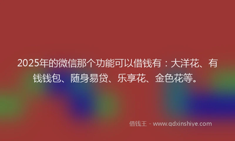 2025年的微信那个功能可以借钱有：大洋花、有钱钱包、随身易贷、乐享花、金色花等。