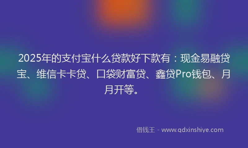 2025年的支付宝什么贷款好下款有：现金易融贷宝、维信卡卡贷、口袋财富贷、鑫贷Pro钱包、月月开等。