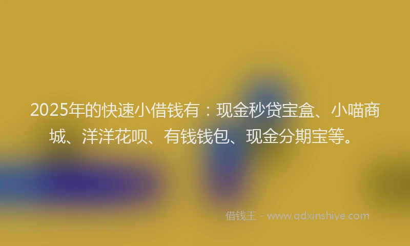 2025年的快速小借钱有：现金秒贷宝盒、小喵商城、洋洋花呗、有钱钱包、现金分期宝等。