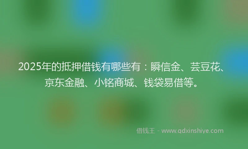 2025年的抵押借钱有哪些有：瞬信金、芸豆花、京东金融、小铭商城、钱袋易借等。