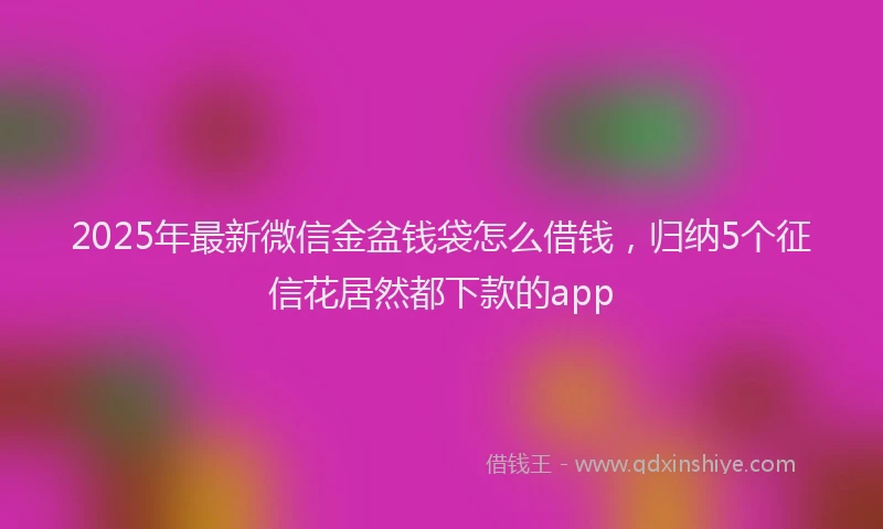 2025年最新微信金盆钱袋怎么借钱，归纳5个征信花居然都下款的app