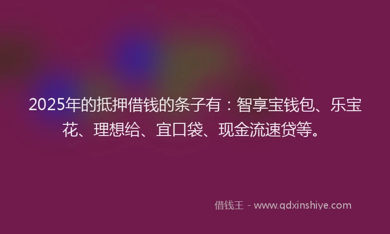 2025年的抵押借钱的条子有：智享宝钱包、乐宝花、理想给、宜口袋、现金流速贷等。