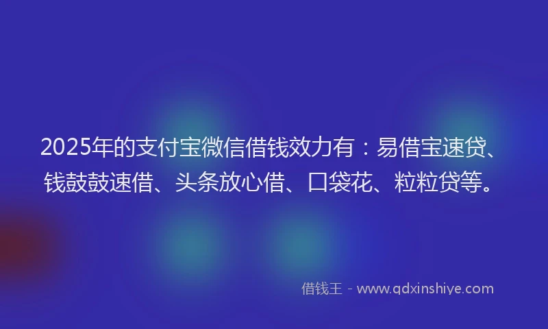 2025年的支付宝微信借钱效力有：易借宝速贷、钱鼓鼓速借、头条放心借、口袋花、粒粒贷等。