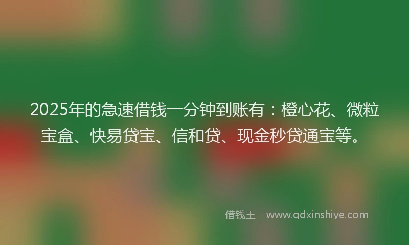 2025年的急速借钱一分钟到账有：橙心花、微粒宝盒、快易贷宝、信和贷、现金秒贷通宝等。