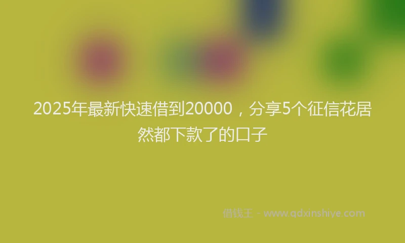 2025年最新快速借到20000，分享5个征信花居然都下款了的口子
