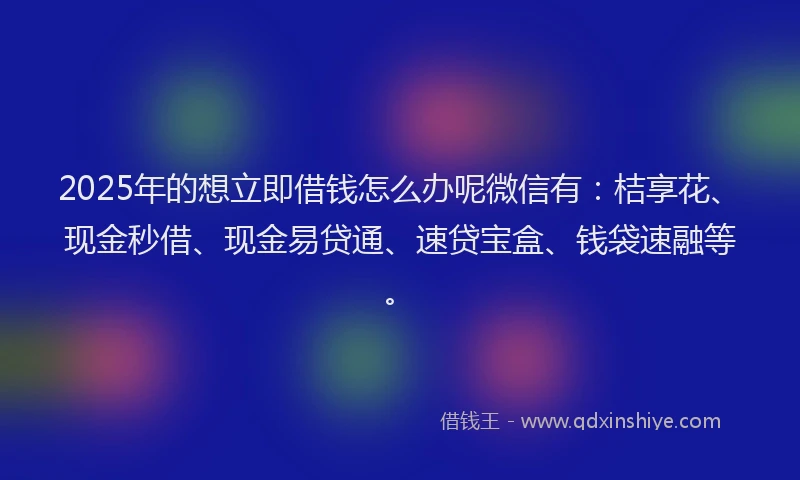 2025年的想立即借钱怎么办呢微信有：桔享花、现金秒借、现金易贷通、速贷宝盒、钱袋速融等。