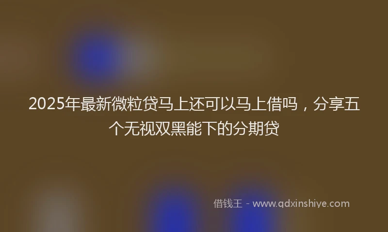 2025年最新微粒贷马上还可以马上借吗，分享五个无视双黑能下的分期贷