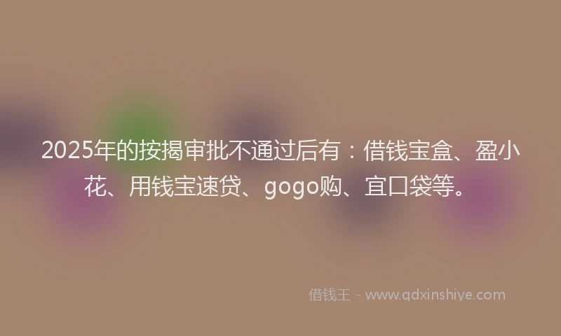 2025年的按揭审批不通过后有：借钱宝盒、盈小花、用钱宝速贷、gogo购、宜口袋等。