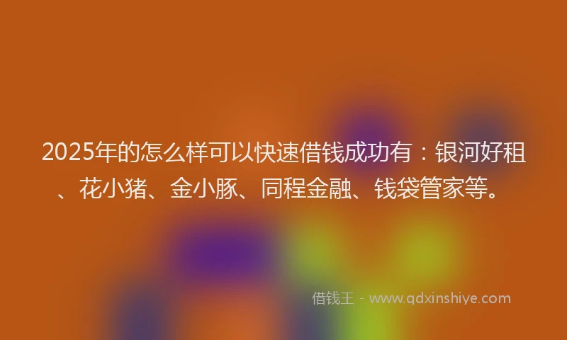 2025年的怎么样可以快速借钱成功有：银河好租、花小猪、金小豚、同程金融、钱袋管家等。