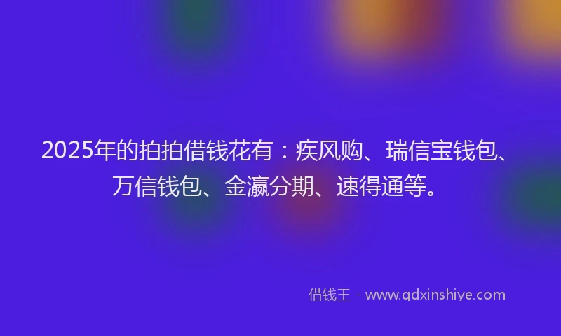 2025年的拍拍借钱花有：疾风购、瑞信宝钱包、万信钱包、金瀛分期、速得通等。