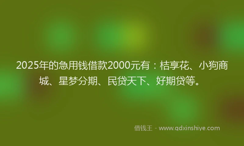 2025年的急用钱借款2000元有：桔享花、小狗商城、星梦分期、民贷天下、好期贷等。