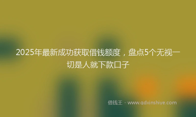 2025年最新成功获取借钱额度，盘点5个无视一切是人就下款口子