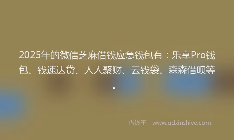 2025年的微信芝麻借钱应急钱包有：乐享Pro钱包、钱速达贷、人人聚财、云钱袋、森森借呗等。