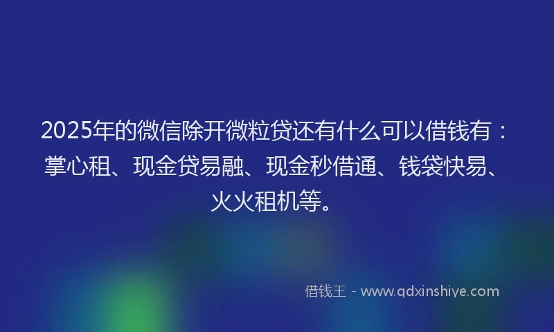 2025年的微信除开微粒贷还有什么可以借钱有：掌心租、现金贷易融、现金秒借通、钱袋快易、火火租机等。