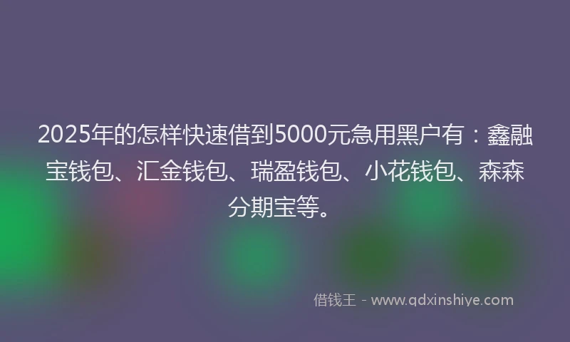 2025年的怎样快速借到5000元急用黑户有：鑫融宝钱包、汇金钱包、瑞盈钱包、小花钱包、森森分期宝等。