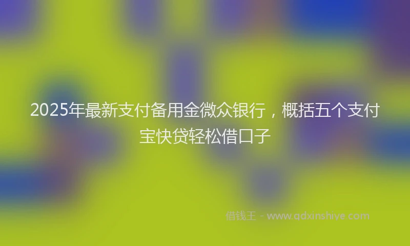 2025年最新支付备用金微众银行，概括五个支付宝快贷轻松借口子