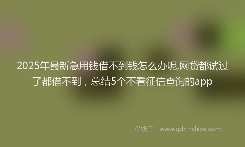 2025年最新急用钱借不到钱怎么办呢,网贷都试过了都借不到，总结5个不看征信查询的app