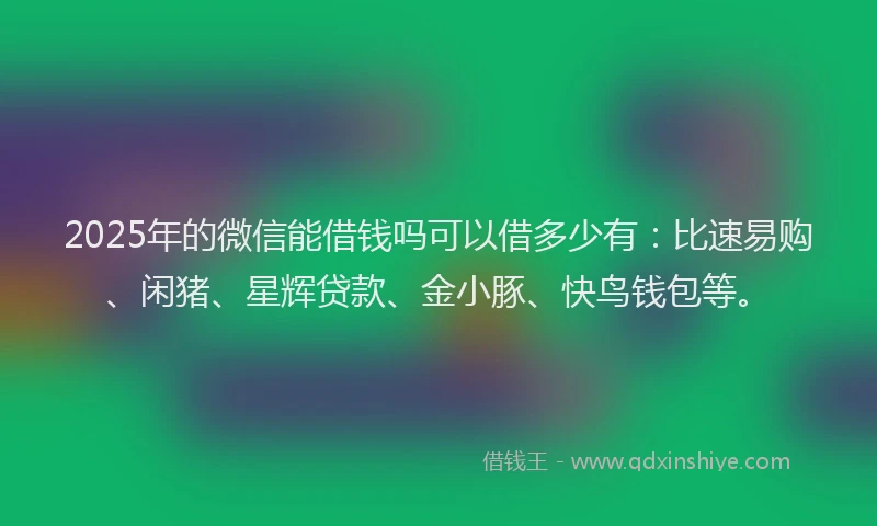 2025年的微信能借钱吗可以借多少有：比速易购、闲猪、星辉贷款、金小豚、快鸟钱包等。