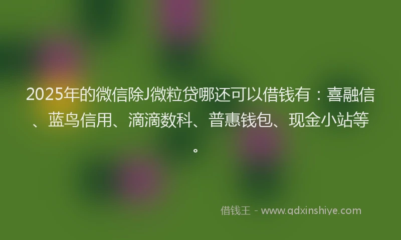 2025年的微信除J微粒贷哪还可以借钱有：喜融信、蓝鸟信用、滴滴数科、普惠钱包、现金小站等。