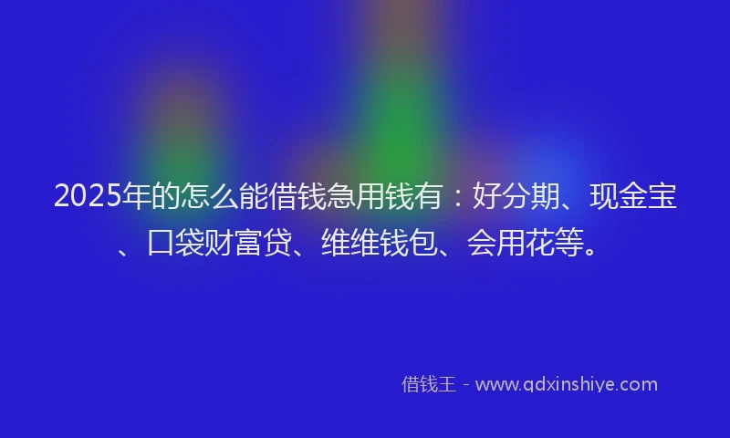 2025年的怎么能借钱急用钱有：好分期、现金宝、口袋财富贷、维维钱包、会用花等。