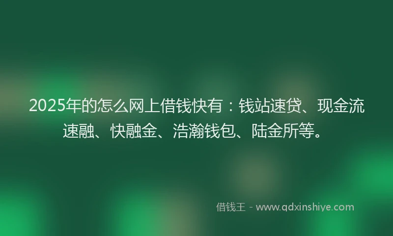 2025年的怎么网上借钱快有：钱站速贷、现金流速融、快融金、浩瀚钱包、陆金所等。