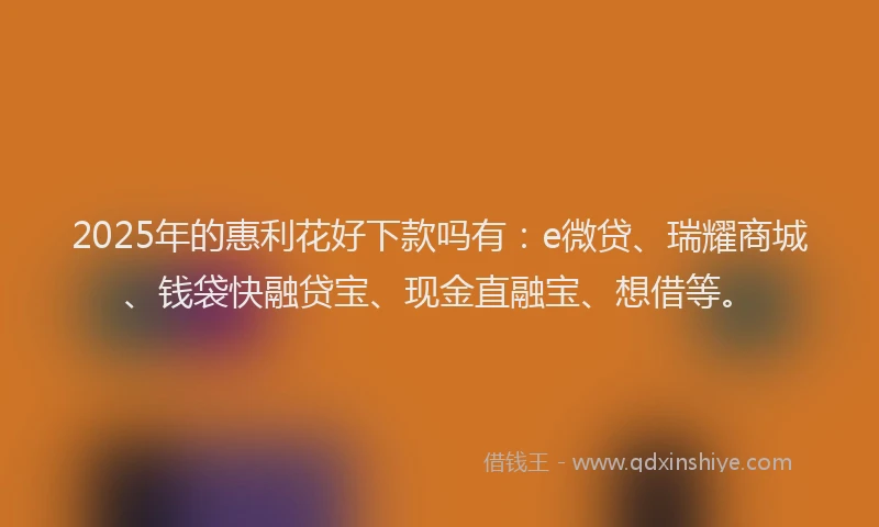 2025年的惠利花好下款吗有：e微贷、瑞耀商城、钱袋快融贷宝、现金直融宝、想借等。