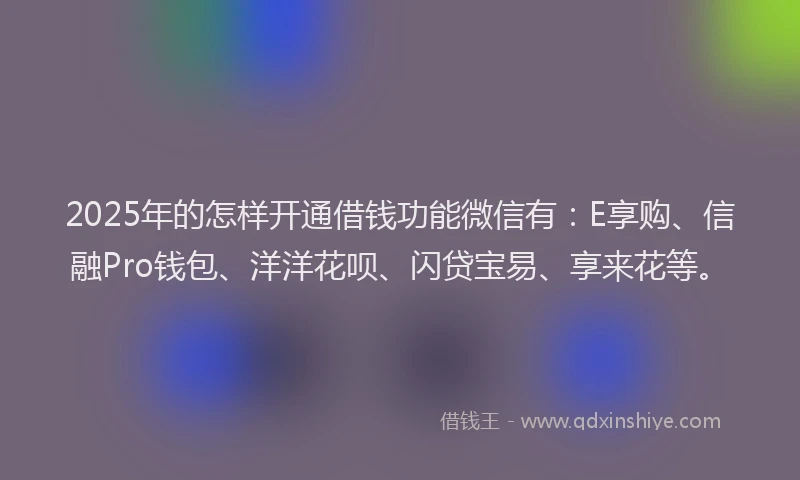 2025年的怎样开通借钱功能微信有：E享购、信融Pro钱包、洋洋花呗、闪贷宝易、享来花等。