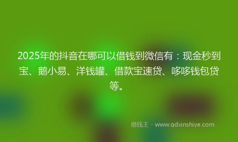 2025年的抖音在哪可以借钱到微信有：现金秒到宝、鹅小易、洋钱罐、借款宝速贷、哆哆钱包贷等。