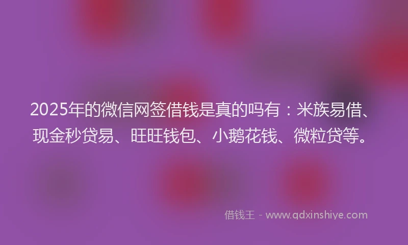 2025年的微信网签借钱是真的吗有：米族易借、现金秒贷易、旺旺钱包、小鹅花钱、微粒贷等。