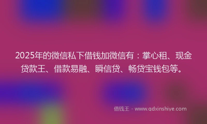 2025年的微信私下借钱加微信有：掌心租、现金贷款王、借款易融、瞬信贷、畅贷宝钱包等。