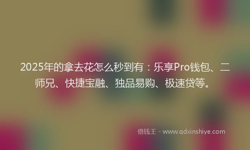 2025年的拿去花怎么秒到有：乐享Pro钱包、二师兄、快捷宝融、独品易购、极速贷等。