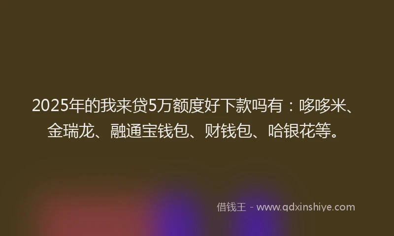 2025年的我来贷5万额度好下款吗有：哆哆米、金瑞龙、融通宝钱包、财钱包、哈银花等。