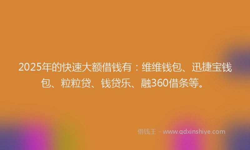 2025年的快速大额借钱有：维维钱包、迅捷宝钱包、粒粒贷、钱贷乐、融360借条等。