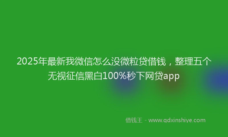 2025年最新我微信怎么没微粒贷借钱，整理五个无视征信黑白100%秒下网贷app