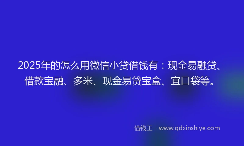 2025年的怎么用微信小贷借钱有：现金易融贷、借款宝融、多米、现金易贷宝盒、宜口袋等。