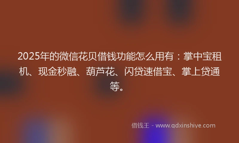 2025年的微信花贝借钱功能怎么用有：掌中宝租机、现金秒融、葫芦花、闪贷速借宝、掌上贷通等。