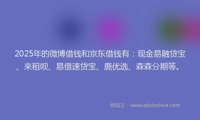 2025年的微博借钱和京东借钱有：现金易融贷宝、来租呗、易借速贷宝、鹿优选、森森分期等。