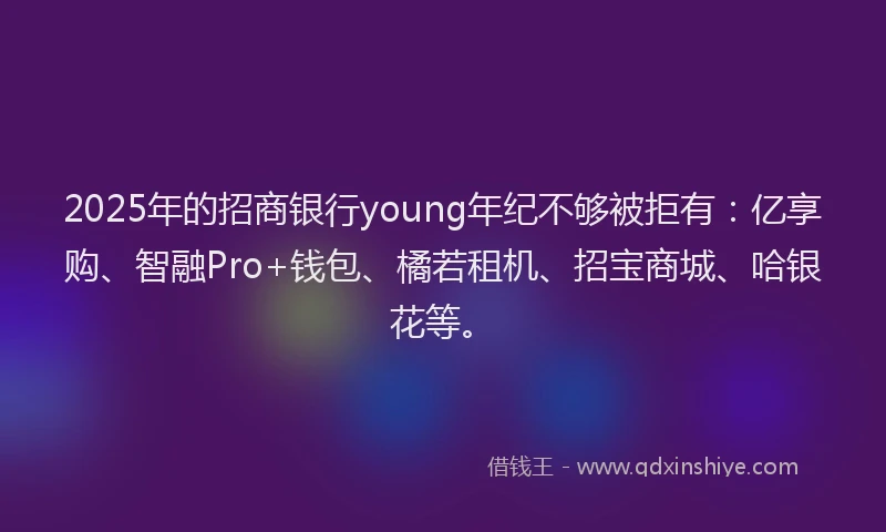 2025年的招商银行young年纪不够被拒有：亿享购、智融Pro+钱包、橘若租机、招宝商城、哈银花等。