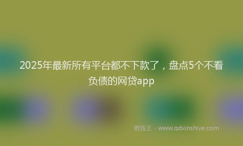 2025年最新所有平台都不下款了，盘点5个不看负债的网贷app