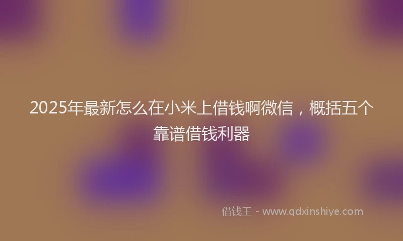 2025年最新怎么在小米上借钱啊微信，概括五个靠谱借钱利器