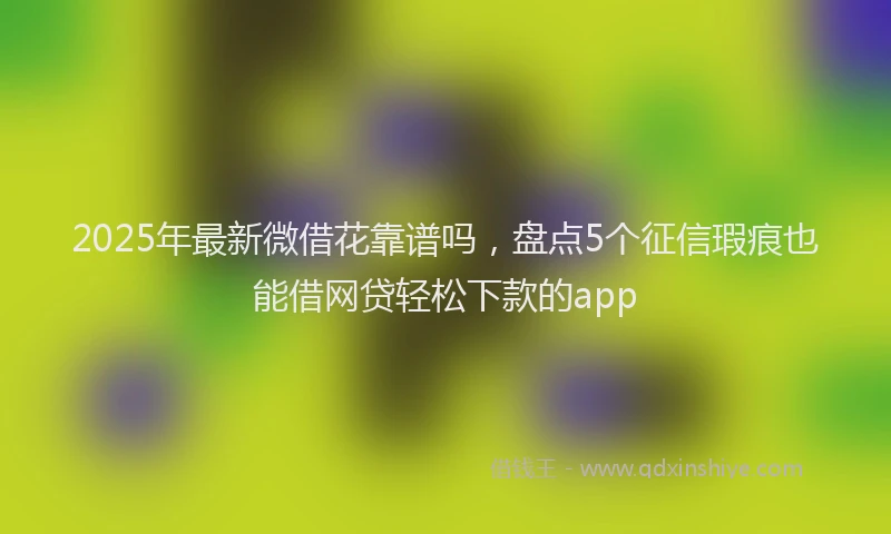 2025年最新微借花靠谱吗，盘点5个征信瑕疵也能借网贷轻松下款的app