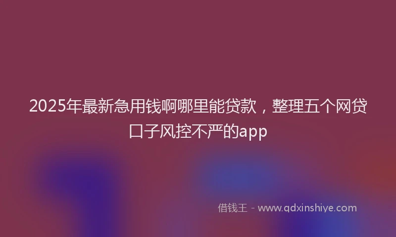 2025年最新急用钱啊哪里能贷款，整理五个网贷口子风控不严的app