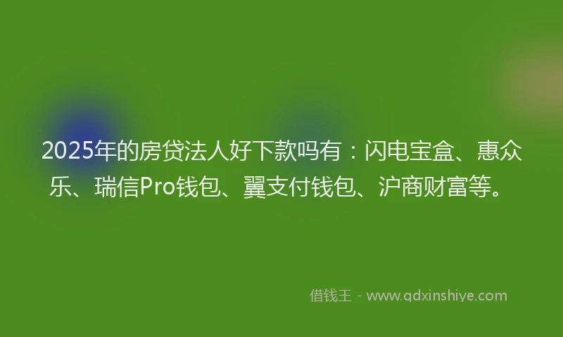 2025年的房贷法人好下款吗有：闪电宝盒、惠众乐、瑞信Pro钱包、翼支付钱包、沪商财富等。
