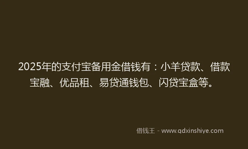 2025年的支付宝备用金借钱有：小羊贷款、借款宝融、优品租、易贷通钱包、闪贷宝盒等。