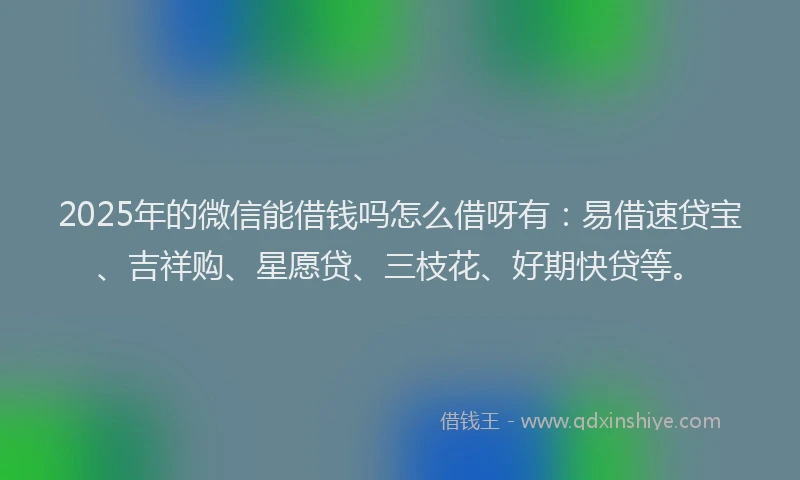 2025年的微信能借钱吗怎么借呀有:易借速贷宝、吉祥购、星愿贷、三枝花、好期快贷等。