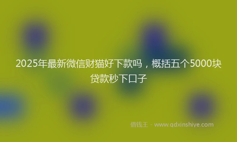 2025年最新微信财猫好下款吗，概括五个5000块贷款秒下口子