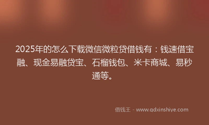 2025年的怎么下载微信微粒贷借钱有：钱速借宝融、现金易融贷宝、石榴钱包、米卡商城、易秒通等。